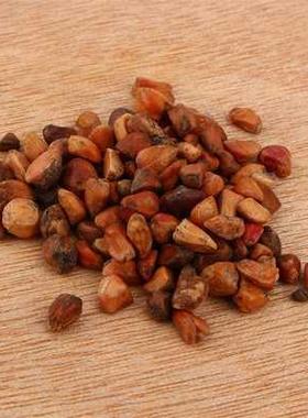 40Pcs/PackRareSdOsio