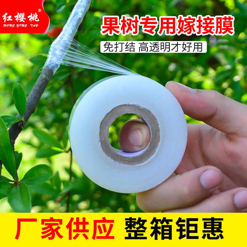 红樱桃果树嫁接专用膜扎菜膜打包膜农用嫁接保鲜膜嫁接pe缠绕膜 - 图0