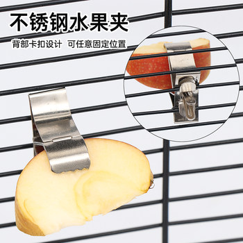 Parrot fruit fork bird with stainless steel fork fruit stick parrot feeder bird feeding fruit ພິ​ເສດ clip