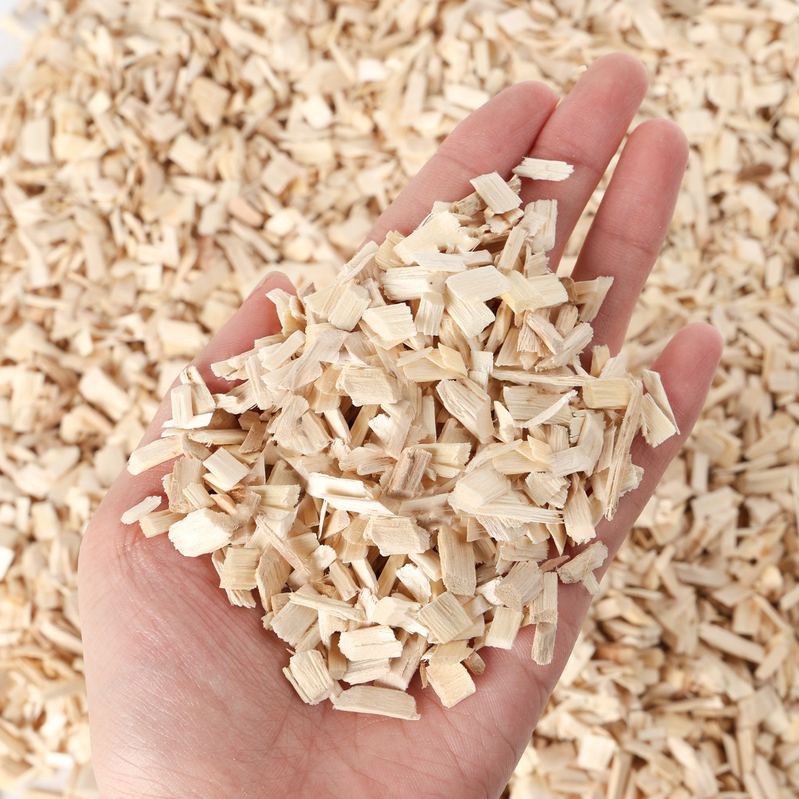 爬宠宠物蛇垫材白杨木屑玩具蛇蛇类饲养箱专用垫材柔软吸湿无尘,淘宝优惠券,粉丝福利购,淘宝优惠卷