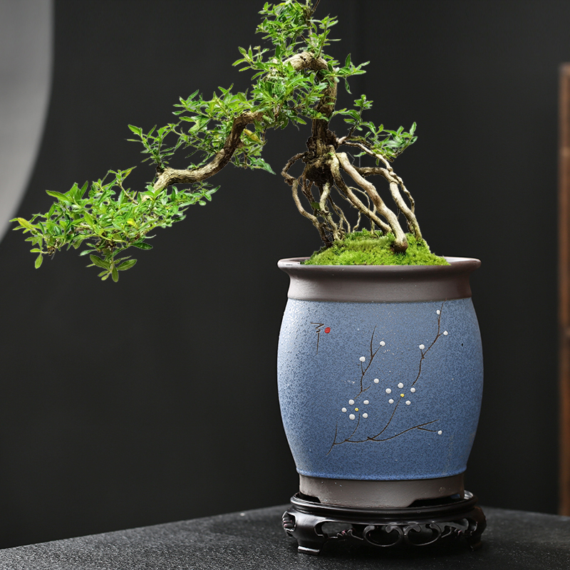 紫砂大口径花盆粗陶透气中国风盆景盆栽陶瓷兰花特价大号君子兰盆 - 图0