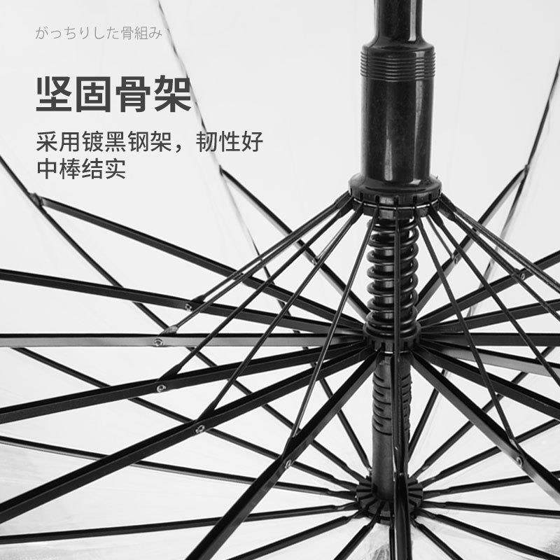 高颜值枫叶雨伞拍照伞公主儿童伞网红长柄透明雨伞大号树叶雨伞,淘宝优惠券,粉丝福利购,淘宝优惠卷