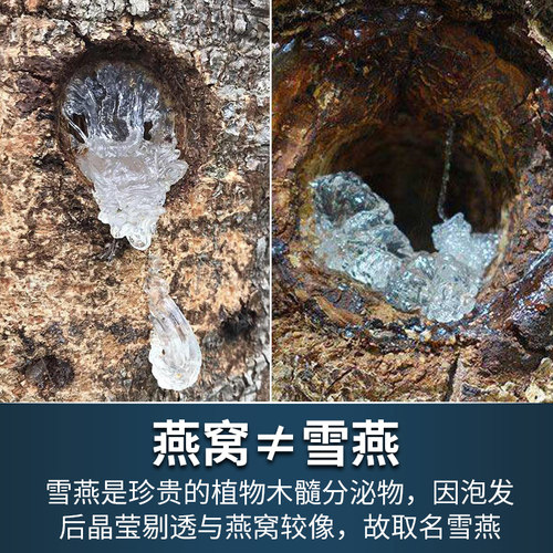 雪燕正品天然拉丝植物燕窝龙须非印度尼泊尔组合皂角米桃胶旗舰店 - 图2
