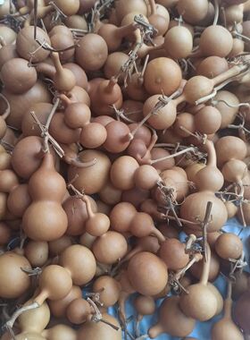 直播秒拍链接天然葫芦各种各样纯天然葫芦可当摆件装饰文玩