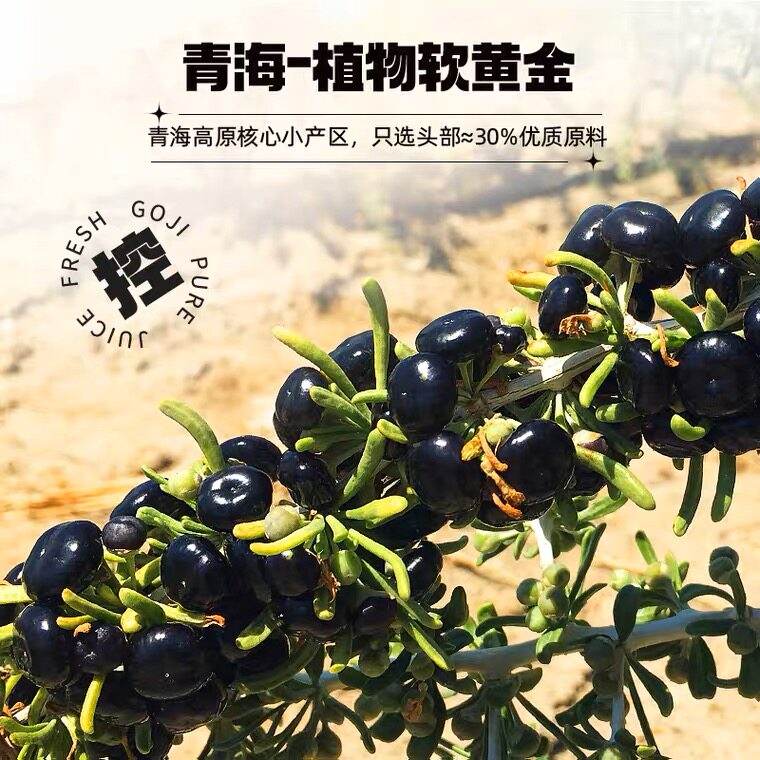  沁晚香枸杞原浆/枸杞制品