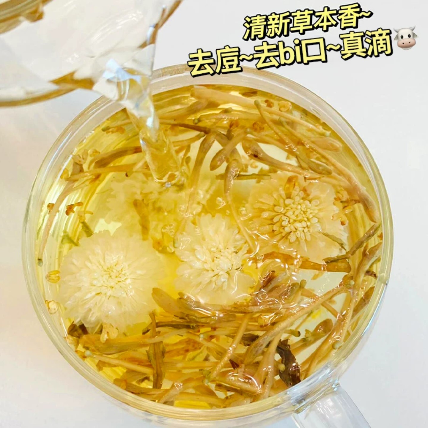 菊花金银花茶蒲公英胎菊夏季清解热降毒火凉茶祛去女生痘花茶茶包