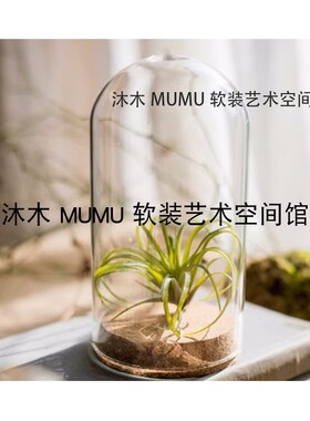 样板间书房植物主题花艺工具