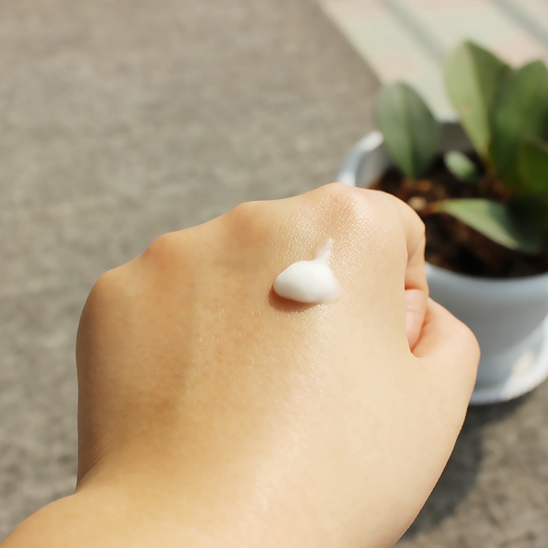  爱润妍乳液/面霜