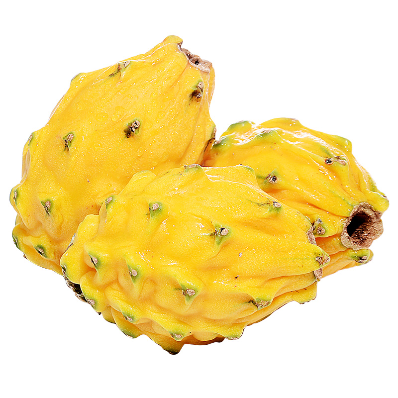 炜顿旗舰店麒麟果水果新鲜燕窝果超甜多汁2个装黄皮火龙果孕妇水果顺丰包邮3