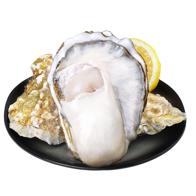 贝司令乳山鲜活5斤带箱10新鲜牡蛎 贝司令生蚝