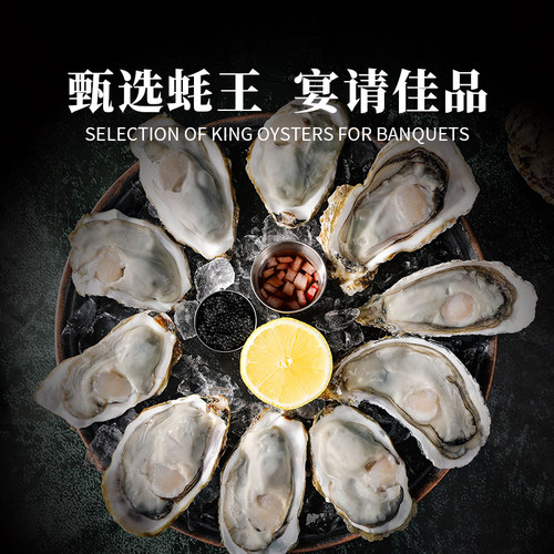 贝司令乳山生态生蚝鲜活带箱10斤特大蚝王牡蛎肉海鲜新鲜蒜蓉海蛎 - 图1