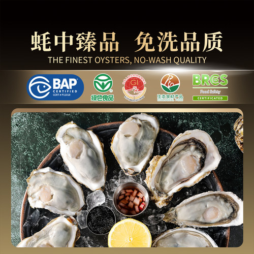 贝司令乳山生态生蚝鲜活带箱10斤特大蚝王牡蛎肉海鲜新鲜蒜蓉海蛎 - 图2