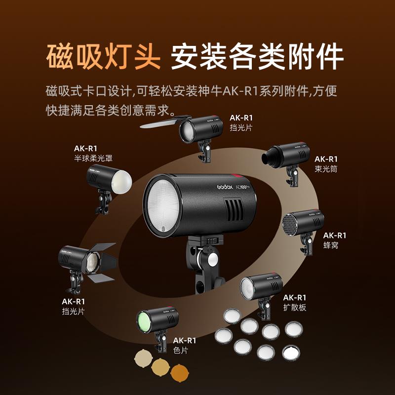 Godox 神牛AD100pro外拍闪光灯锂电池TTL摄影灯可携式单眼相机口 - 图0