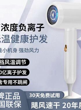 韩式电学生宿舍吹风机蓝光800W吹风用500W小功率专用负离子护发不