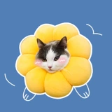 Подсолнечник Elizaba Circle Cat Circle Circle Cat Cat Dog's Dog Set Set Anti -Bite и Licks Locked Circle Supplies