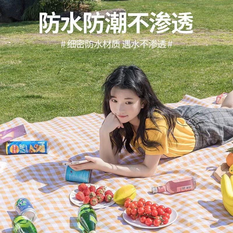 户外野餐垫防潮垫加厚便携坐垫春游野炊防水草坪垫子帐篷露营地垫,淘宝优惠券,粉丝福利购,淘宝优惠卷