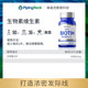 Biotin biotin ວິຕາມິນຕ້ານການສູນເສຍຜົມ