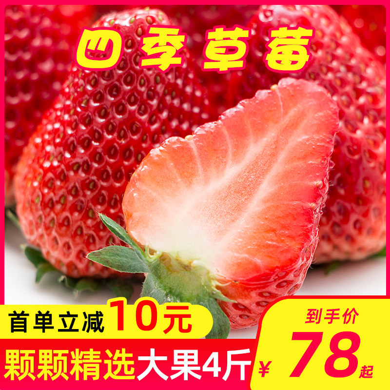 四川大凉山草莓新鲜水果烘焙蛋糕奶茶双流鲜草莓时令草莓同城水果
