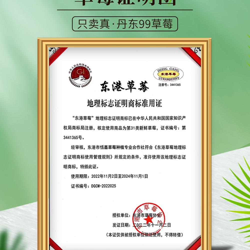 丹东99草莓新鲜红颜奶油东港九九甜牛奶草莓大果礼盒正宗大果空运