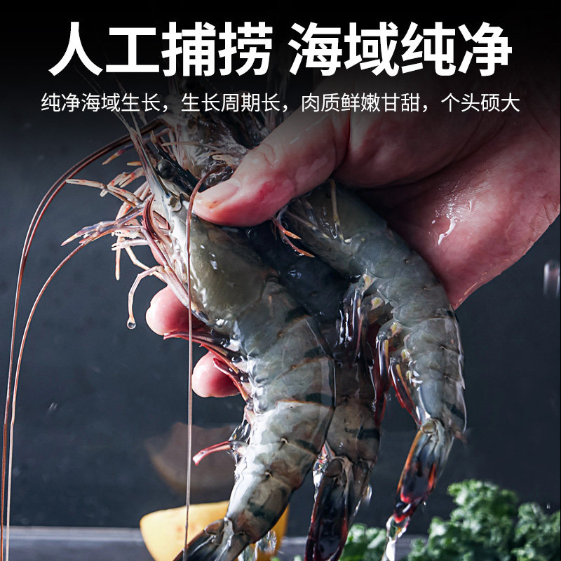 【林依轮直播间】大黄鲜森大号黑虎虾鲜冻黑虎虾900g*2盒,淘宝优惠券,粉丝福利购,淘宝优惠卷