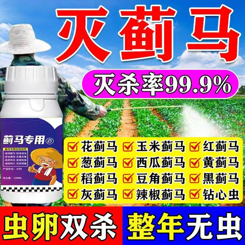 全年无蓟马】蓟马专用抗性蓟马果园菜地花卉蚜虫白粉虱虫害无,淘宝优惠券,粉丝福利购,淘宝优惠卷