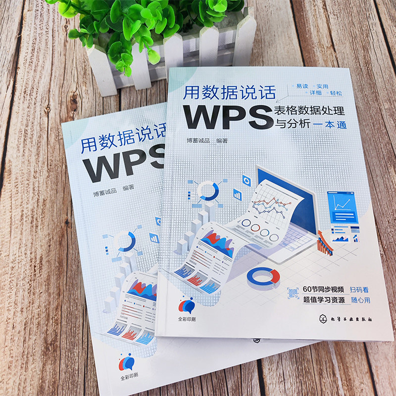 赠60节视频课 2册 用数据说话 从Excel到Power BI数据处理分析可视化+WPS表格数据处理与分析一本通 职场学生办公软件应用入门书籍