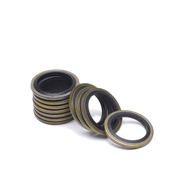 Combined gasket sealing ring jb982 gasket