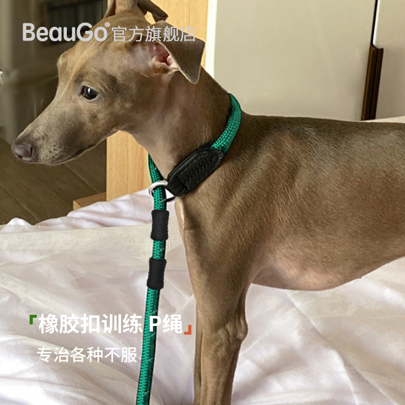 BeauGo训犬p绳p链训练狗狗牵引绳大型犬牵引绳小狗绳遛狗牵引绳 - 图1