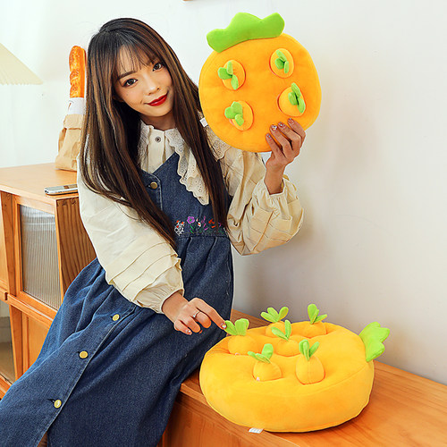 高颜值婴幼儿童益智玩具早教拔萝卜玩偶1到6岁宝宝婴儿胡萝卜靠垫 - 图2