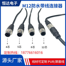 M12 Aviation Plug with Line 4 Core 5 Core 6 Core 8 Core 12 Core pinhole Waterproof Air Sensor shielded Line PUR Line