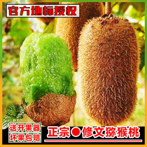 Guizhou Xiu Wen County Expensive Kiwi Peach Fresh Macaque Peach Green Heart Chic Exotic Fruit When Season Fruit Fresh Origin Is Now Removed