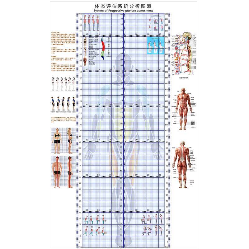 异常姿势调整评估表中医诊疗正骨脊柱侧弯测量图高低肩体态背景墙 - 图0