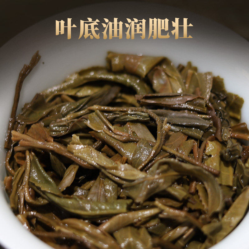 15春茶云南普洱茶易武古茶弯弓 香气内敛茶气沉稳茶汤稠厚浓 茗纳百川茶叶旗舰店 淘优券