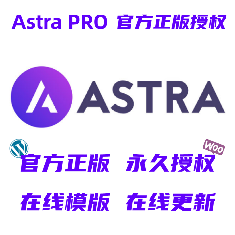 Astra PRO主题 Wordpress主题永久授权 WP高级版主题官方正版-图3