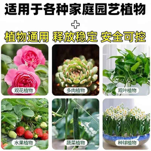 细节图