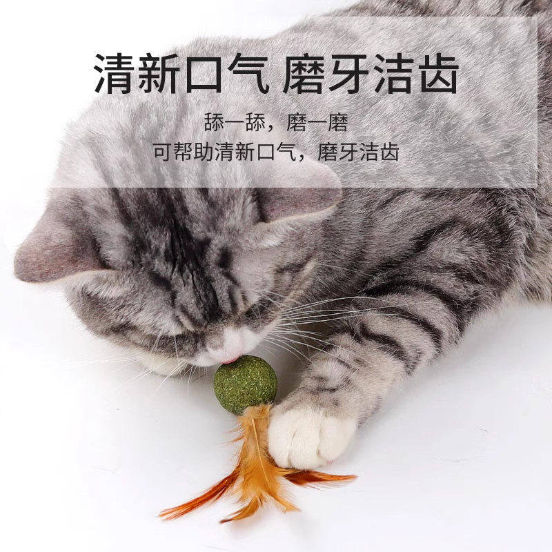 猫玩具猫薄荷球羽毛磨牙自嗨解闷猫草片球逗猫棒猫化排毛猫咪专用,淘宝优惠券,粉丝福利购,淘宝优惠卷