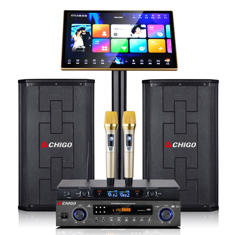 志高家庭ktv套装家用无线唱歌话筒 音之源电器KTV/卡拉OK音箱