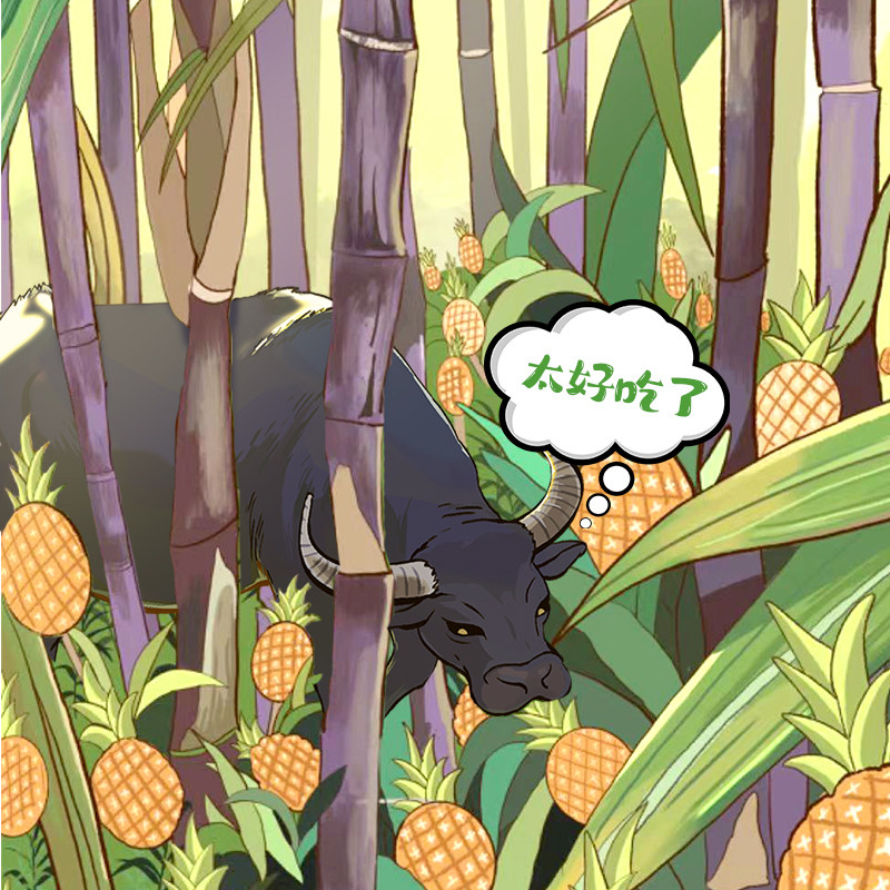 【十月产】认养吃甘蔗的水牛奶125ml*18盒儿童学生水牛乳早餐奶,淘宝优惠券,粉丝福利购,淘宝优惠卷