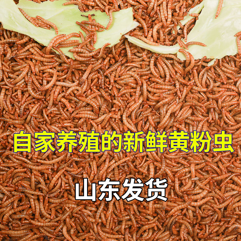 商品详情图片