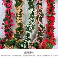 紫塑胶花推荐品牌 新人首单立减十元 21年6月 淘宝海外 紫塑胶花推荐品牌 新人首单立减十元 21年6月 淘宝海外