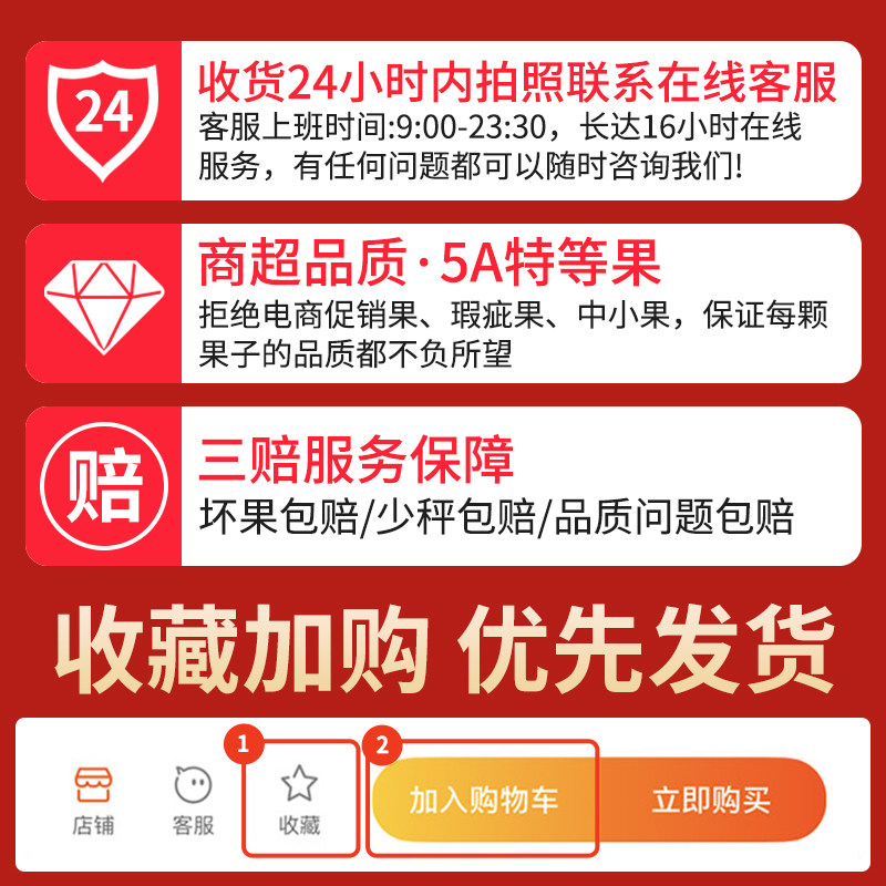 特级现货5斤4j美早新鲜包邮大樱桃 顶掌柜车厘子/樱桃