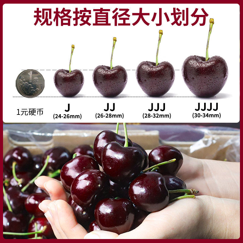  顶掌柜车厘子/樱桃