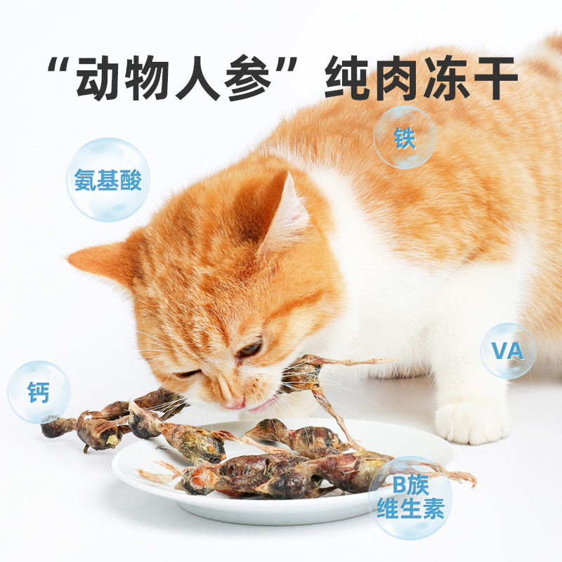 江小傲猫咪零食小鹌鹑猫冻干零食幼猫成猫营养磨牙洁齿宠物冻干 - 图0