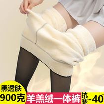 900 gr flight attendant grey plus suede ultra-thick integrated skin-bottom pants autumn winter women Extra-thick Light Leg God 200