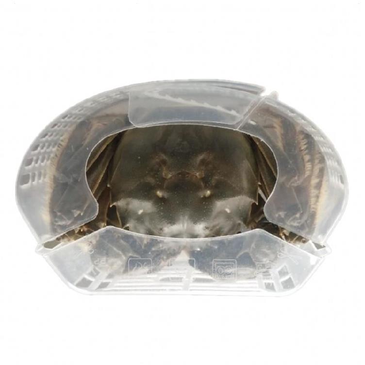 蟹之家大闸蟹速装器绑螃蟹盒PP材质绑蟹神器蒸煮螃蟹包装塑料盒,淘宝优惠券,粉丝福利购,淘宝优惠卷