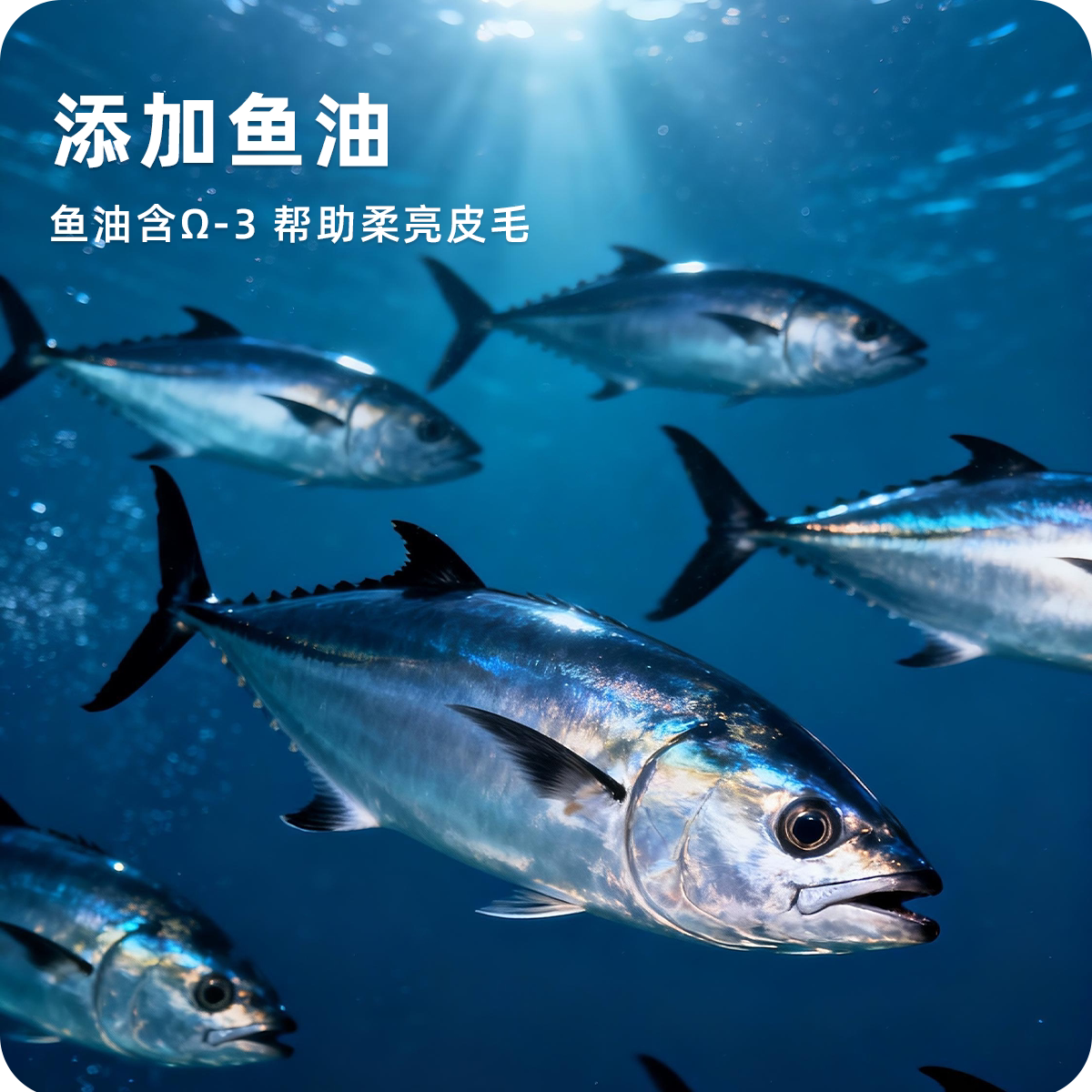 好适嘉猫罐头 98k 全价猫粮主食罐猫咪低脂湿粮罐头 低脂量0内脏