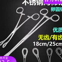 Stainless Steel Sponge Pliers Medical Pliers With Cupping Jars Eggs Round Pincers Straight Head Elbows Unteeth With Teeth Sea Cotton Clips 25cm