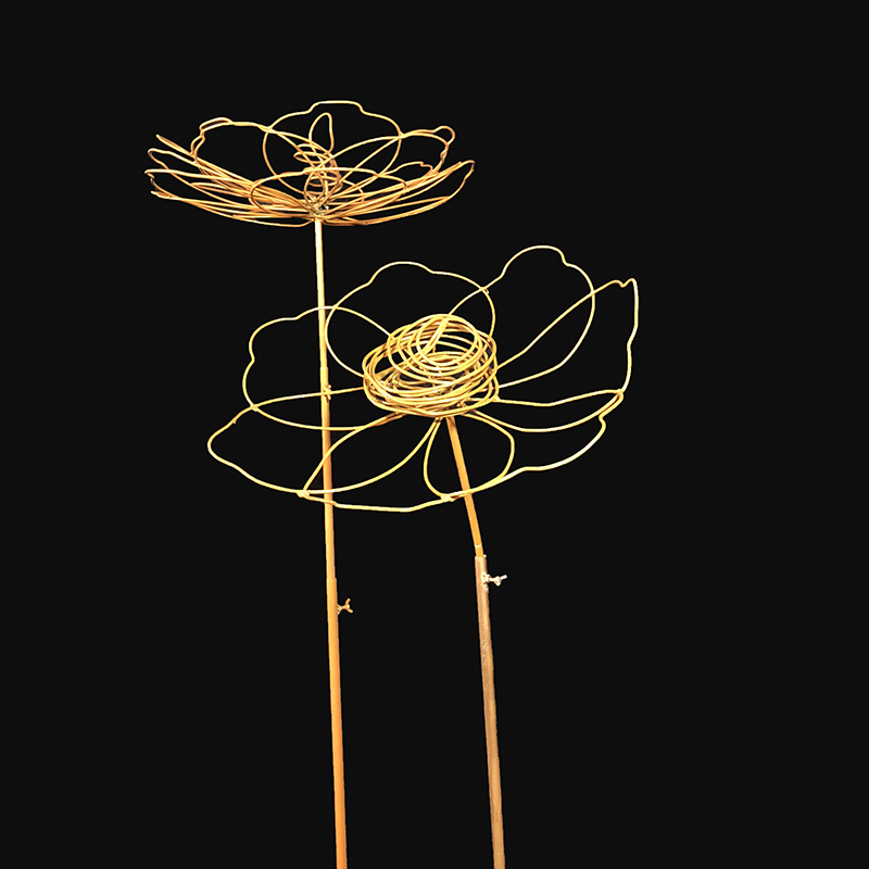 金色芭蕉 新人首单立减十元 21年9月 淘宝海外