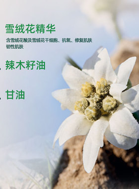Thebodyshop雪绒花眼部精华滋养