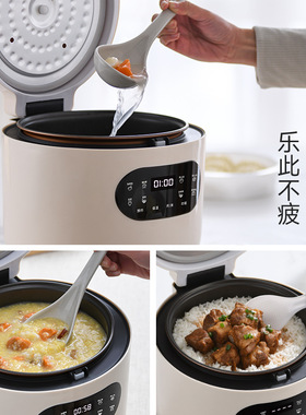 德国品牌Zemkon电饭煲2到3人智能3L家用多功能3到4人不粘电饭锅